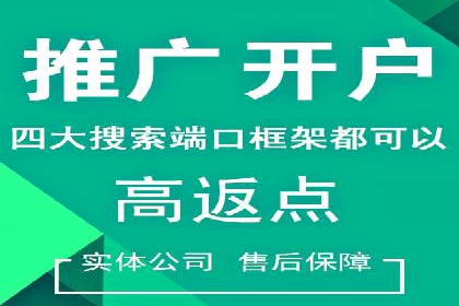 百度推广成功之路：从零到一的实战案例记录